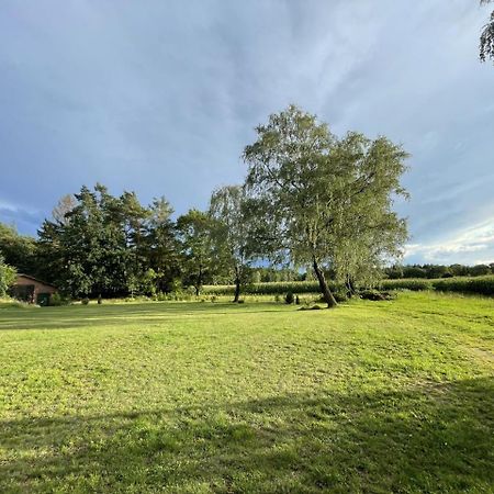 Ferienhof Timmerloher Heide ゾルタウ エクステリア 写真