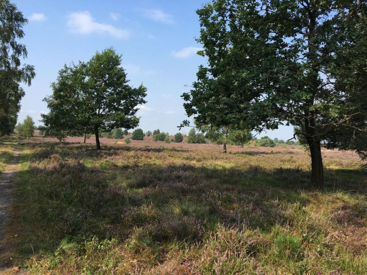 Ferienhof Timmerloher Heide ゾルタウ エクステリア 写真