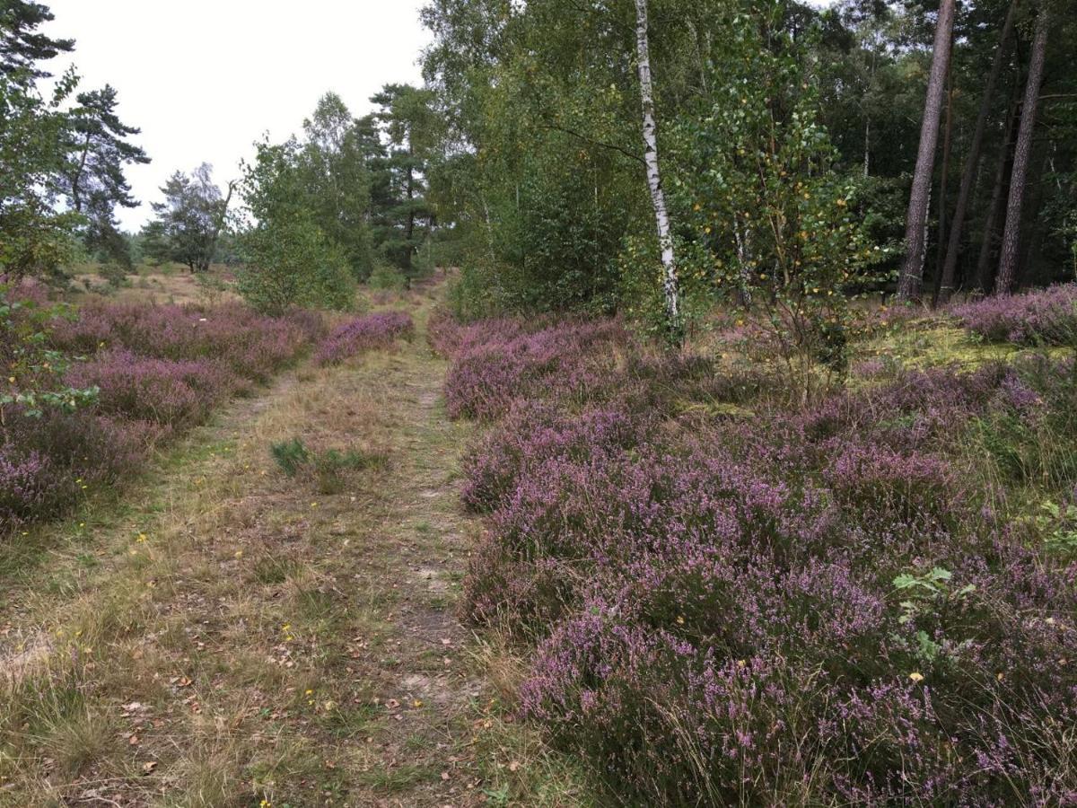 Ferienhof Timmerloher Heide ゾルタウ エクステリア 写真